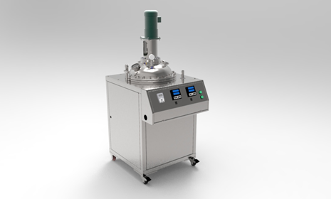 100L溶料反應(yīng)釜